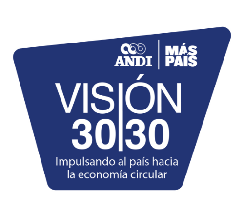 logo vision 30,30